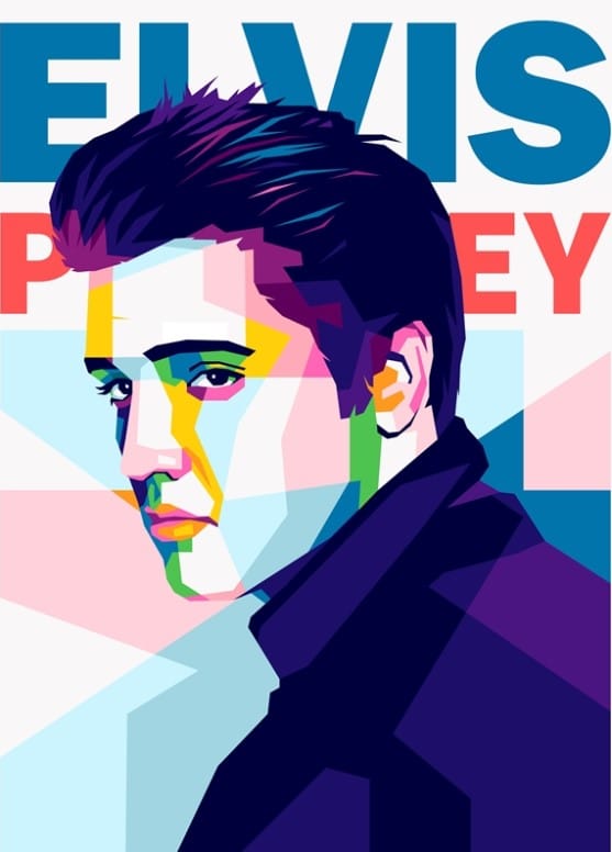 ELVIS 1