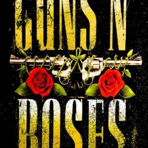 rock and roll collectibles wall art canvas posters guns and roses